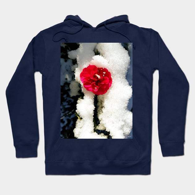 Snowy Roses Hoodie by danieljanda